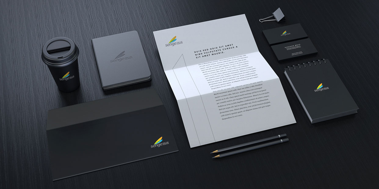 聯合迅潔VI效果圖